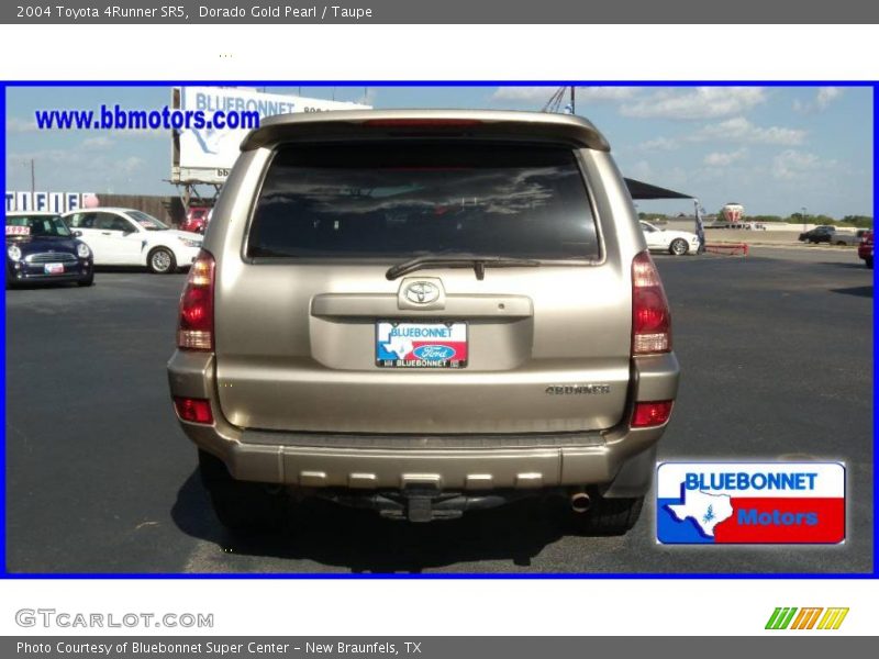 Dorado Gold Pearl / Taupe 2004 Toyota 4Runner SR5