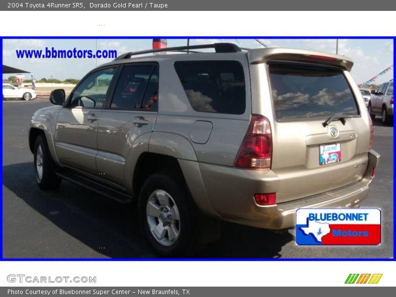 Dorado Gold Pearl / Taupe 2004 Toyota 4Runner SR5