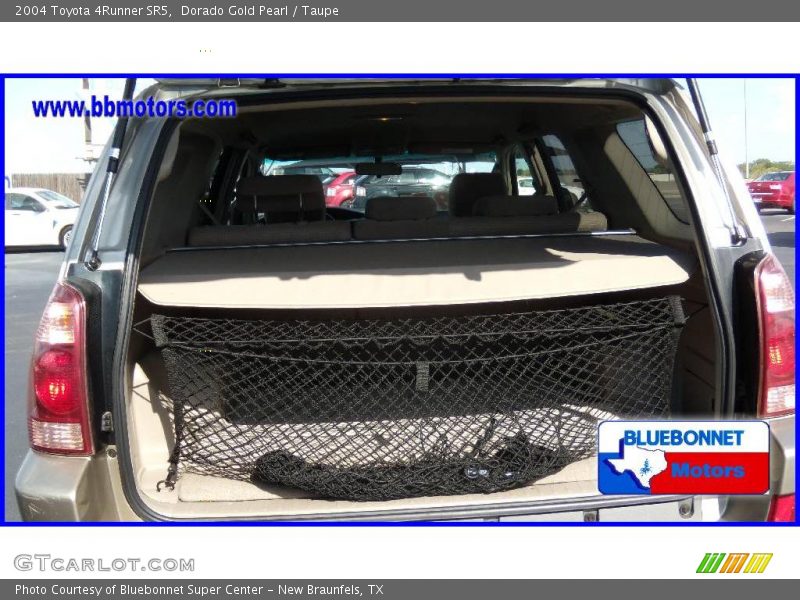 Dorado Gold Pearl / Taupe 2004 Toyota 4Runner SR5