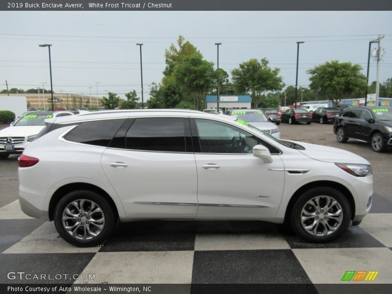 White Frost Tricoat / Chestnut 2019 Buick Enclave Avenir