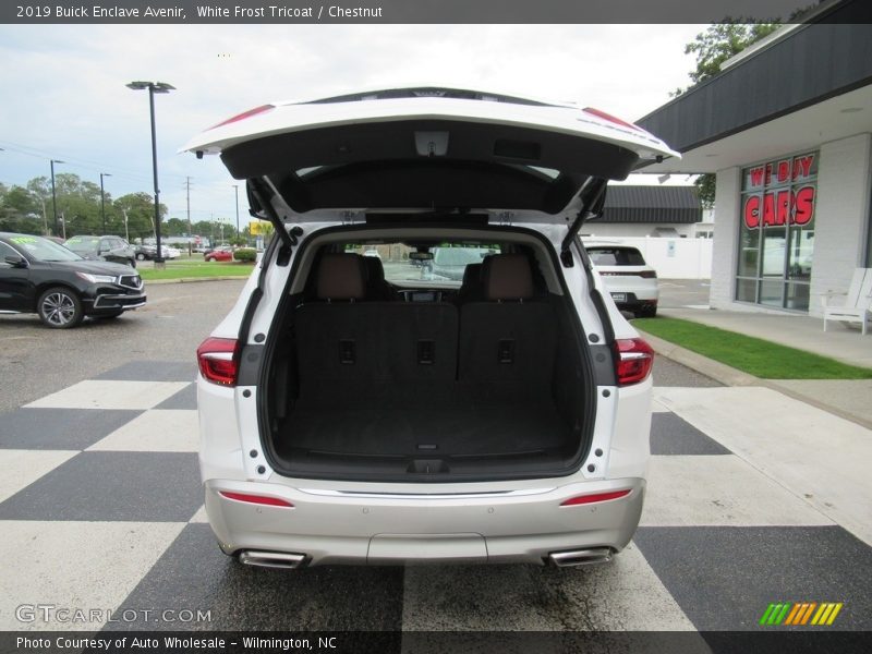 White Frost Tricoat / Chestnut 2019 Buick Enclave Avenir