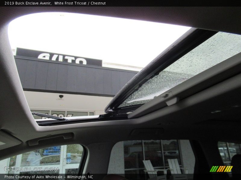 White Frost Tricoat / Chestnut 2019 Buick Enclave Avenir