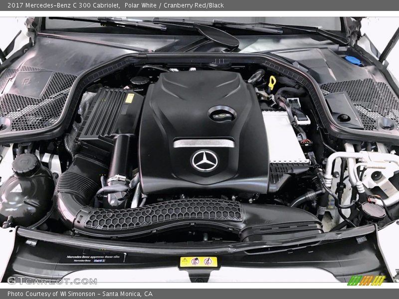 Polar White / Cranberry Red/Black 2017 Mercedes-Benz C 300 Cabriolet