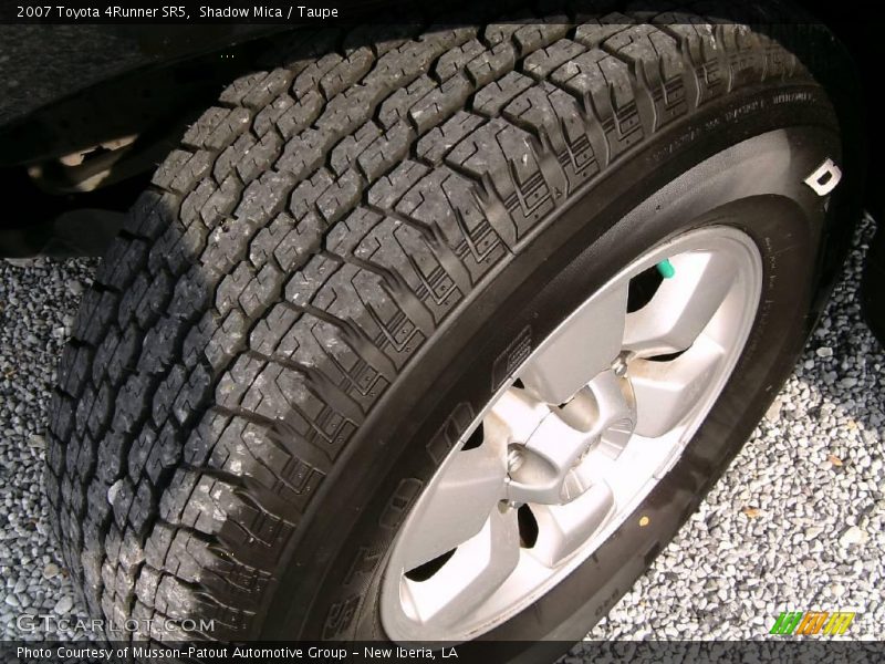 Shadow Mica / Taupe 2007 Toyota 4Runner SR5