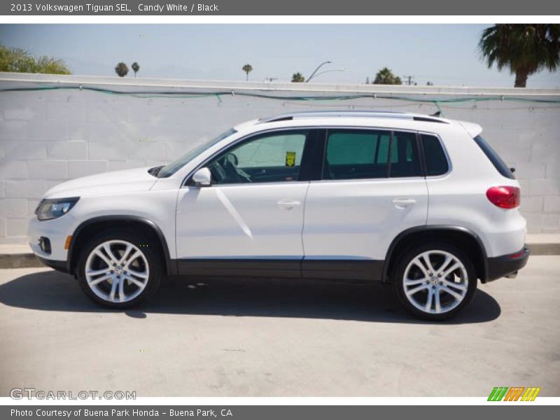 Candy White / Black 2013 Volkswagen Tiguan SEL