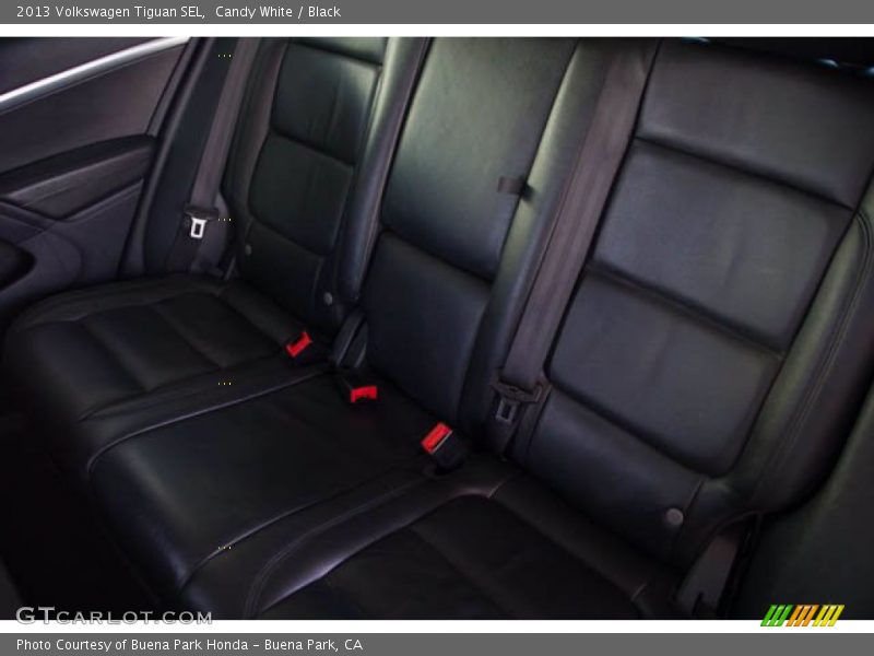 Candy White / Black 2013 Volkswagen Tiguan SEL
