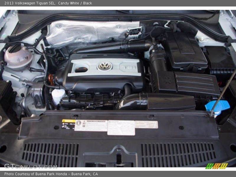 Candy White / Black 2013 Volkswagen Tiguan SEL