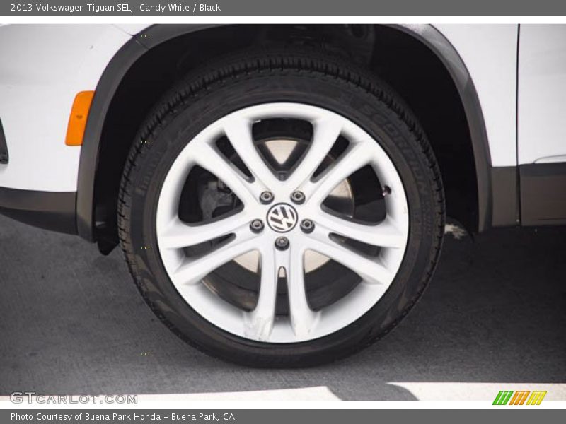 Candy White / Black 2013 Volkswagen Tiguan SEL