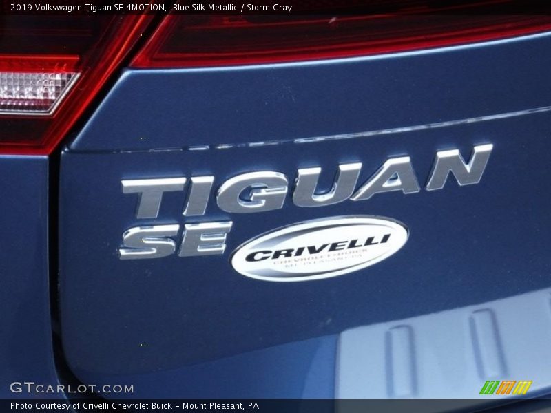 Blue Silk Metallic / Storm Gray 2019 Volkswagen Tiguan SE 4MOTION
