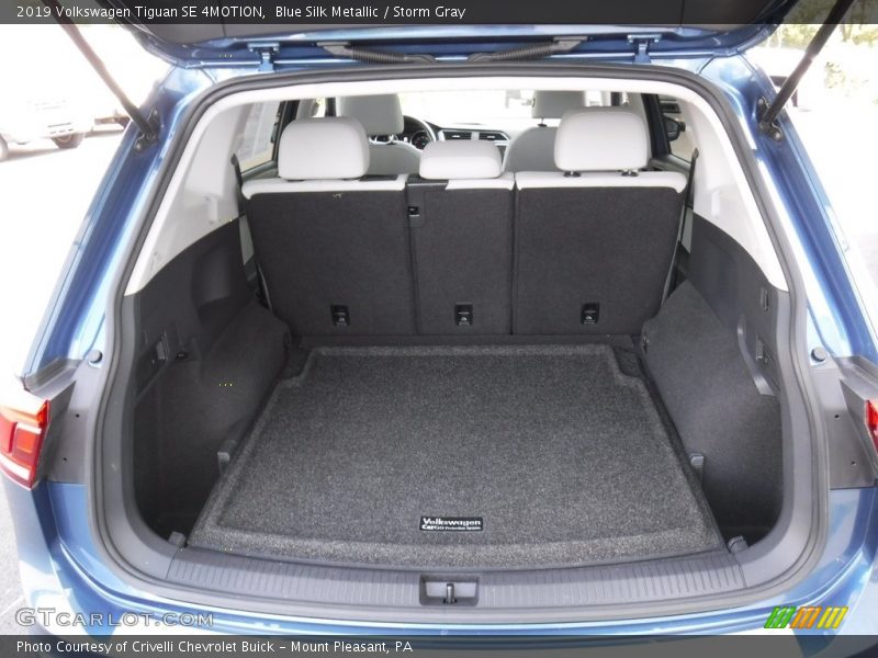 Blue Silk Metallic / Storm Gray 2019 Volkswagen Tiguan SE 4MOTION