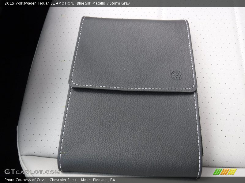 Blue Silk Metallic / Storm Gray 2019 Volkswagen Tiguan SE 4MOTION