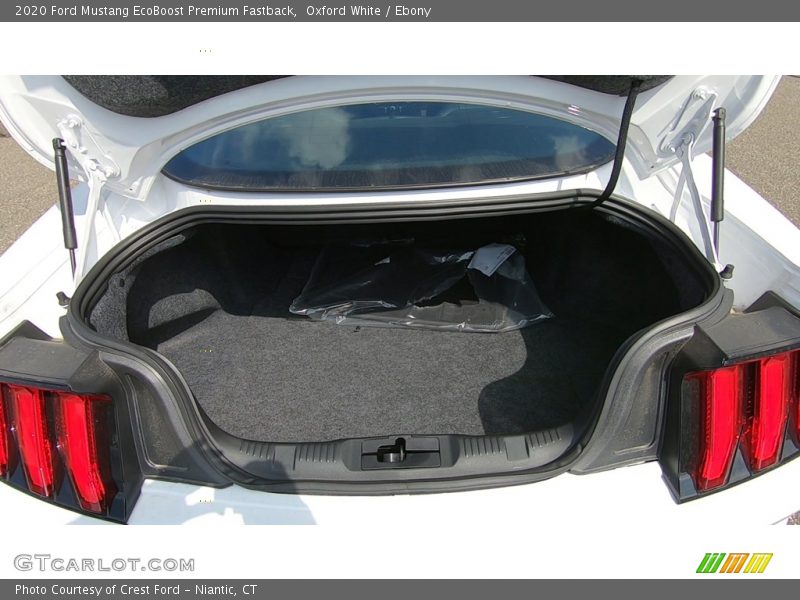  2020 Mustang EcoBoost Premium Fastback Trunk