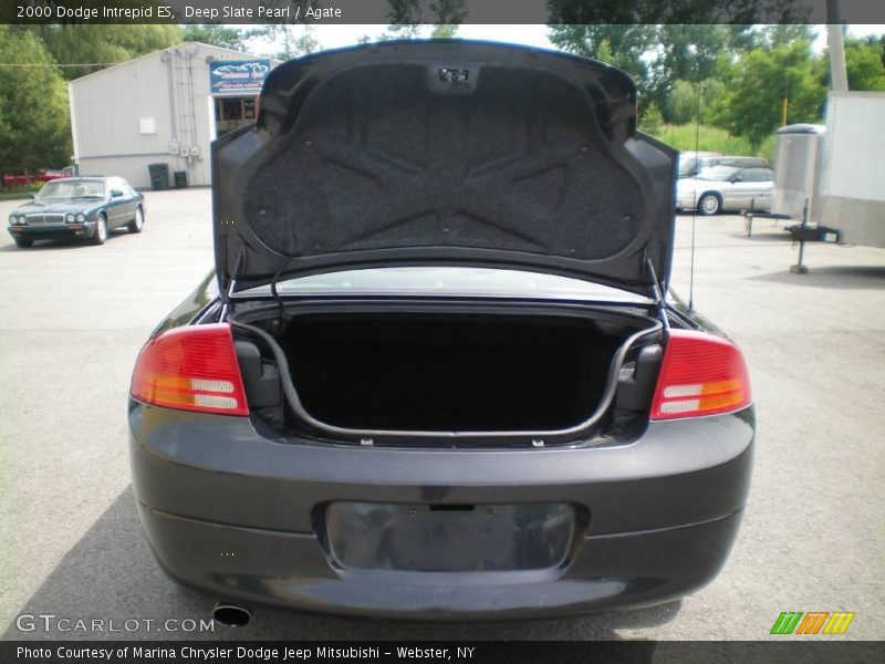 Deep Slate Pearl / Agate 2000 Dodge Intrepid ES