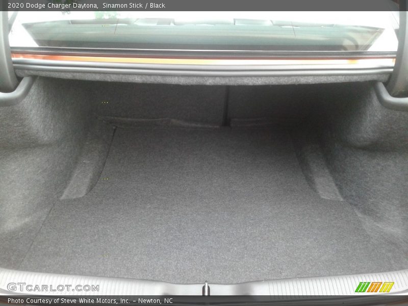  2020 Charger Daytona Trunk