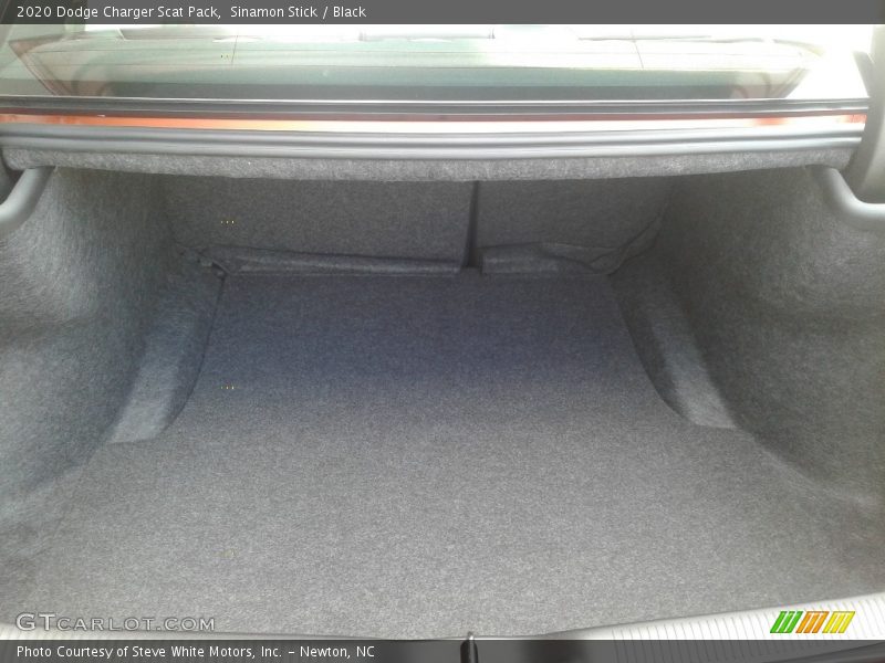 Sinamon Stick / Black 2020 Dodge Charger Scat Pack