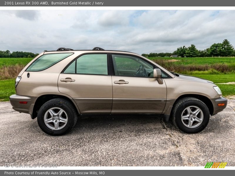  2001 RX 300 AWD Burnished Gold Metallic