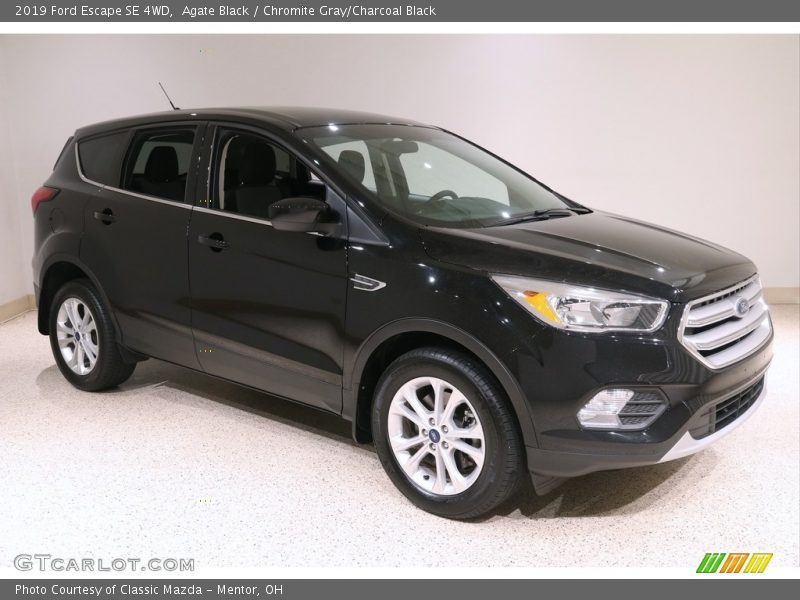 Agate Black / Chromite Gray/Charcoal Black 2019 Ford Escape SE 4WD