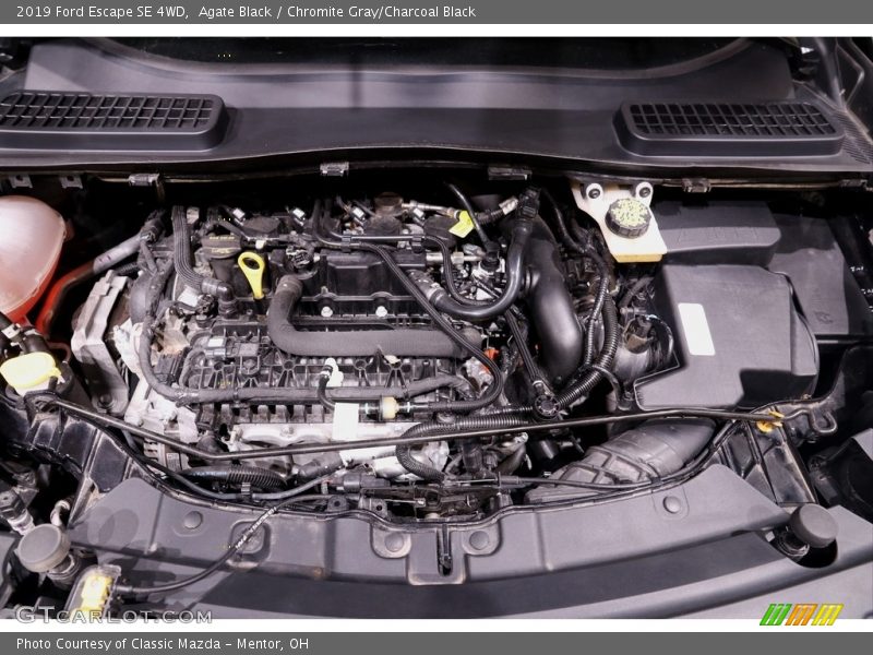Agate Black / Chromite Gray/Charcoal Black 2019 Ford Escape SE 4WD