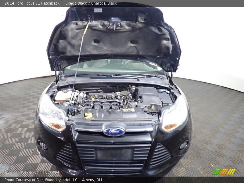 Tuxedo Black / Charcoal Black 2014 Ford Focus SE Hatchback