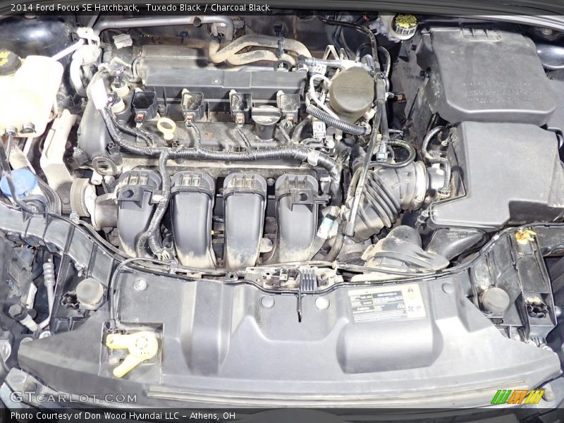 Tuxedo Black / Charcoal Black 2014 Ford Focus SE Hatchback