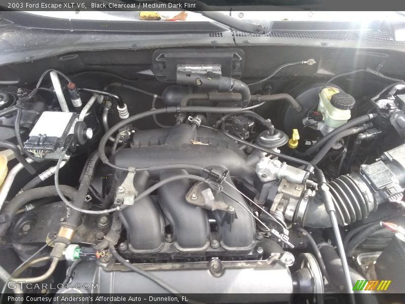Black Clearcoat / Medium Dark Flint 2003 Ford Escape XLT V6