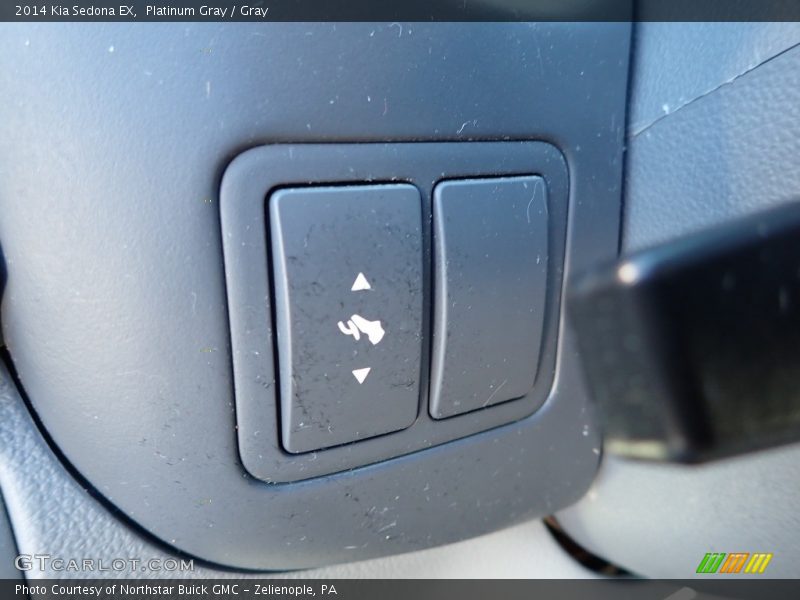 Platinum Gray / Gray 2014 Kia Sedona EX