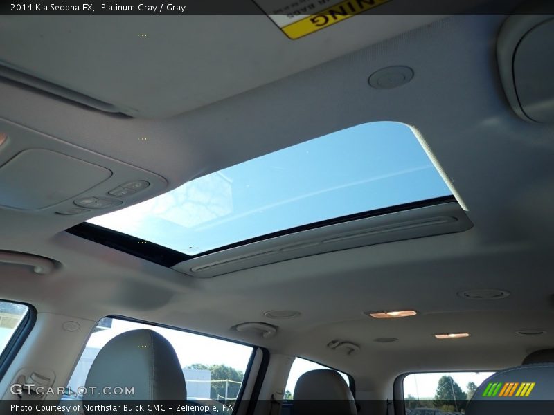 Platinum Gray / Gray 2014 Kia Sedona EX