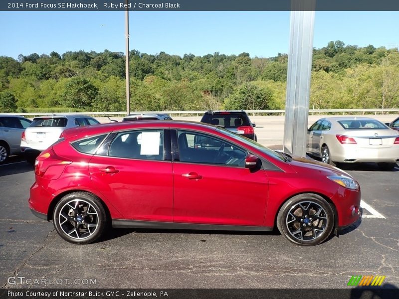 Ruby Red / Charcoal Black 2014 Ford Focus SE Hatchback