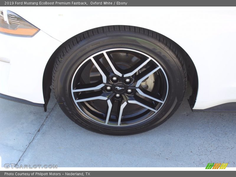 Oxford White / Ebony 2019 Ford Mustang EcoBoost Premium Fastback