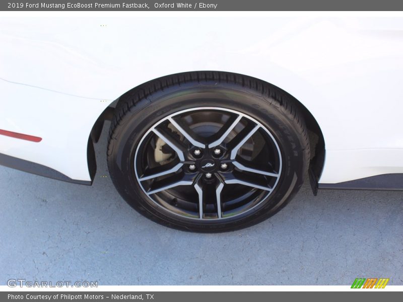 Oxford White / Ebony 2019 Ford Mustang EcoBoost Premium Fastback