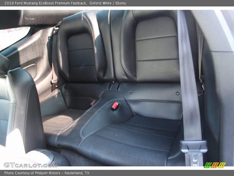 Oxford White / Ebony 2019 Ford Mustang EcoBoost Premium Fastback