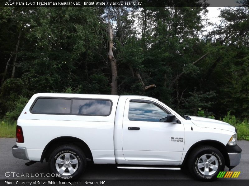 Bright White / Black/Diesel Gray 2014 Ram 1500 Tradesman Regular Cab