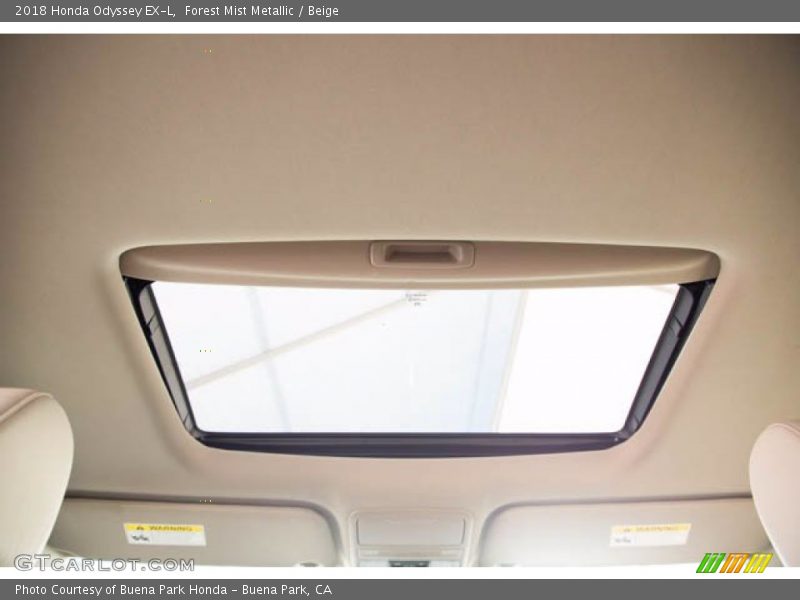 Forest Mist Metallic / Beige 2018 Honda Odyssey EX-L