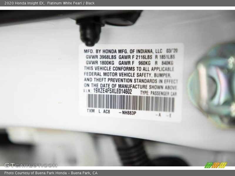 Platinum White Pearl / Black 2020 Honda Insight EX