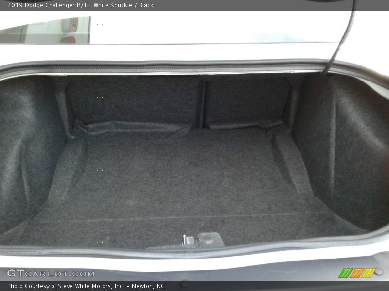 White Knuckle / Black 2019 Dodge Challenger R/T