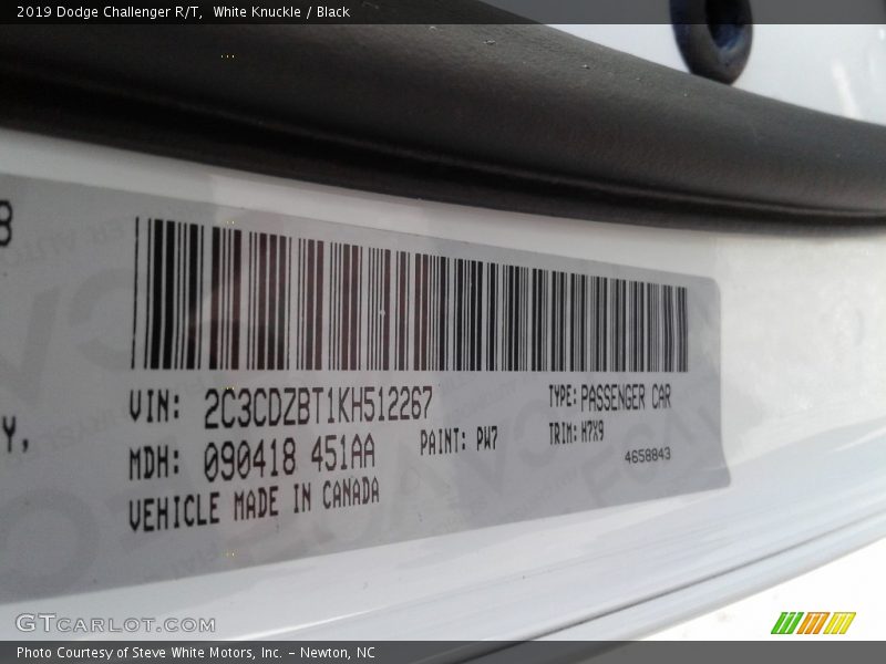 White Knuckle / Black 2019 Dodge Challenger R/T