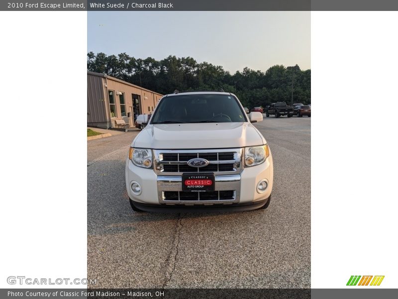 White Suede / Charcoal Black 2010 Ford Escape Limited