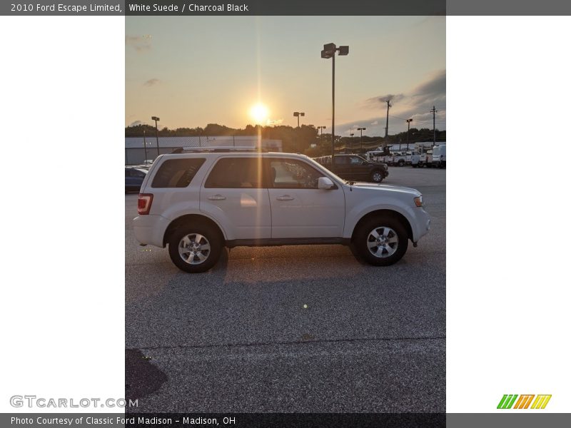 White Suede / Charcoal Black 2010 Ford Escape Limited