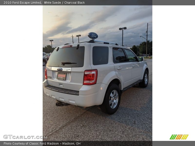 White Suede / Charcoal Black 2010 Ford Escape Limited