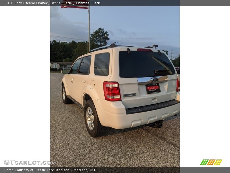 White Suede / Charcoal Black 2010 Ford Escape Limited