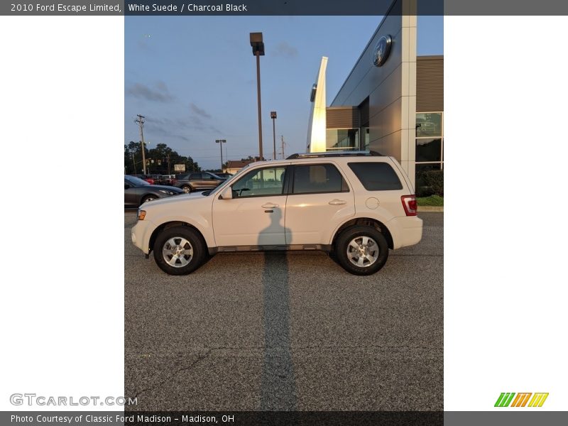 White Suede / Charcoal Black 2010 Ford Escape Limited
