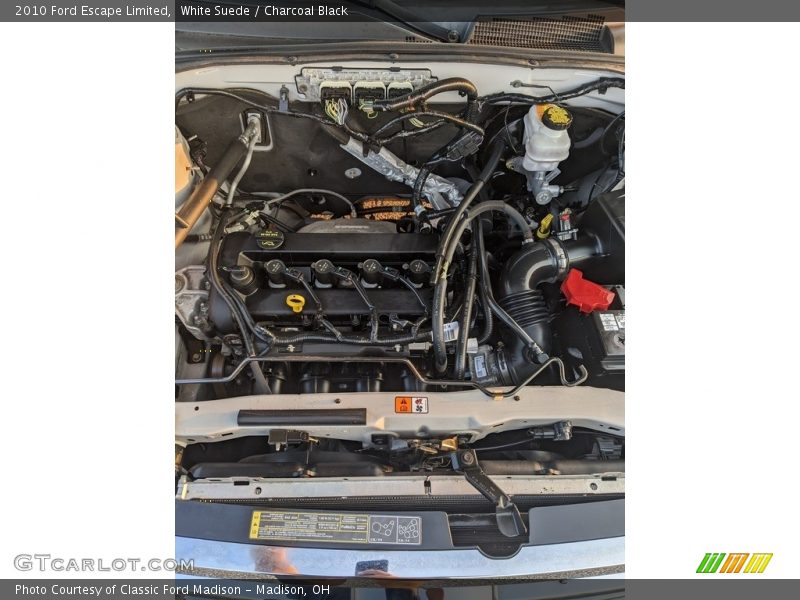 White Suede / Charcoal Black 2010 Ford Escape Limited