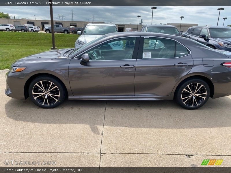 Predawn Gray Mica / Black 2020 Toyota Camry SE