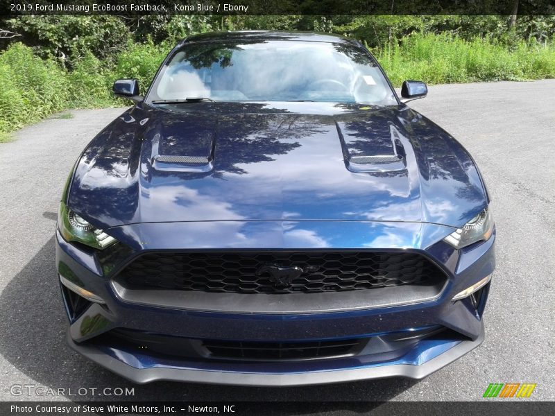 Kona Blue / Ebony 2019 Ford Mustang EcoBoost Fastback