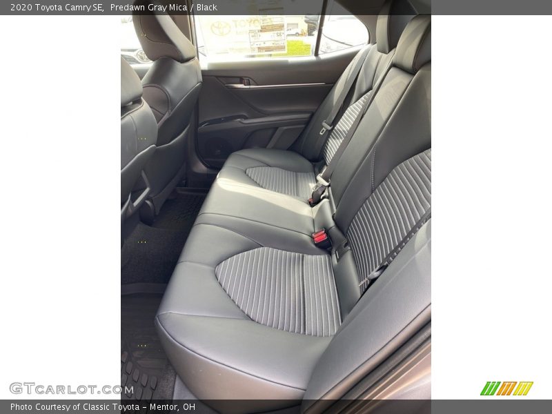 Predawn Gray Mica / Black 2020 Toyota Camry SE