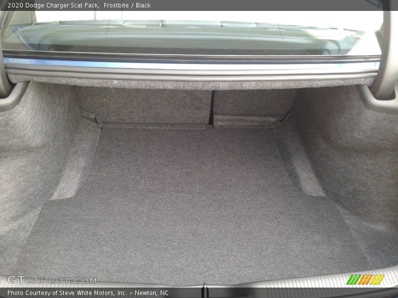 Frostbite / Black 2020 Dodge Charger Scat Pack