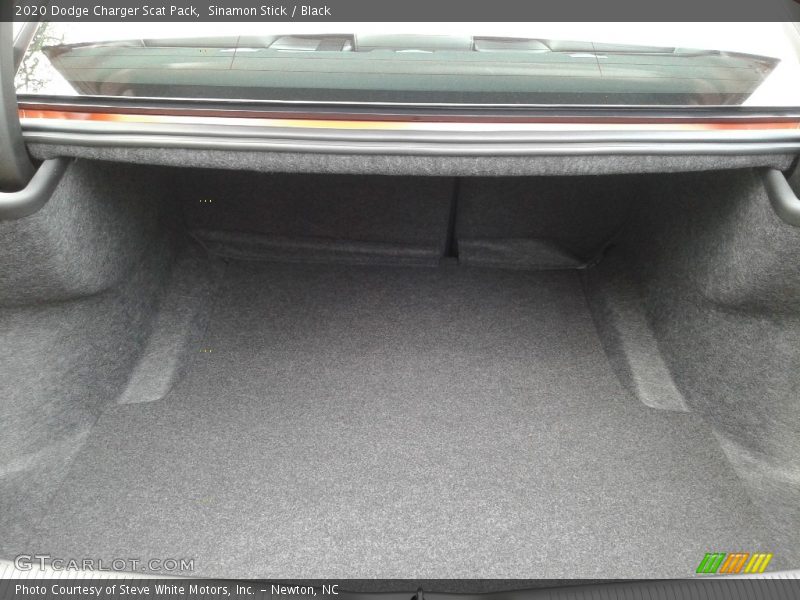 Sinamon Stick / Black 2020 Dodge Charger Scat Pack