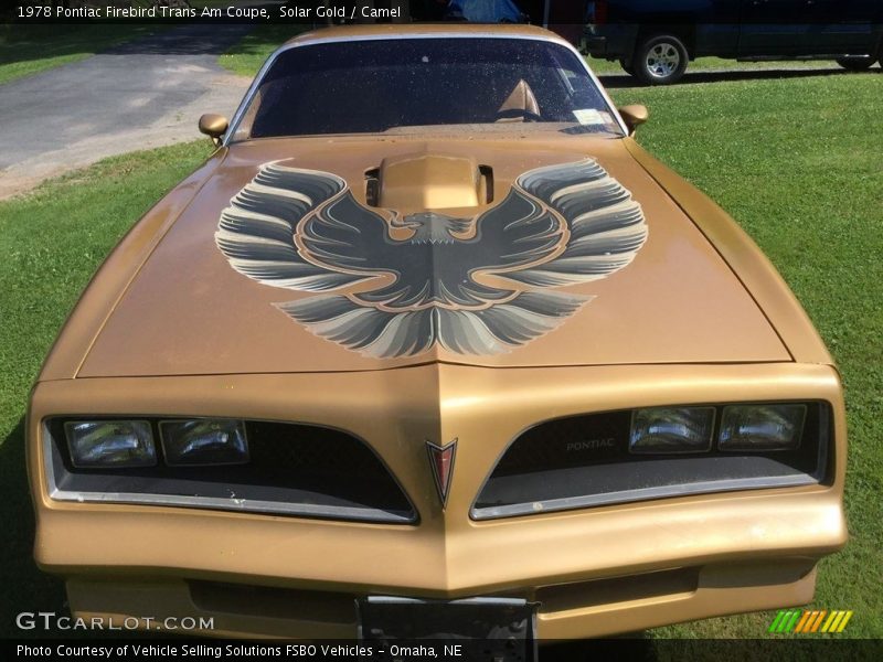  1978 Firebird Trans Am Coupe Logo