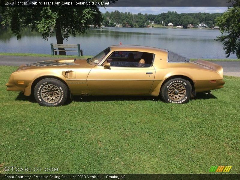  1978 Firebird Trans Am Coupe Solar Gold