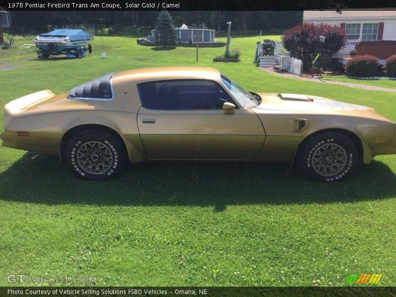  1978 Firebird Trans Am Coupe Solar Gold